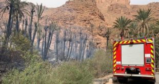 Tiznit | Extinction d’un incendie déclenché à l’Oasis d’Ait Mansour