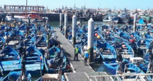 Covid-19 Opération de désinfection du port d'Essaouira