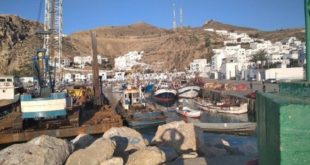 Maroc M’diq Quand Les Changements Climatiques Chassent La Sardine