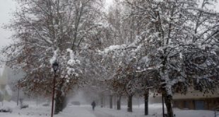 Chutes De Neige, Temps Froid Et Fortes Averses Orageuses