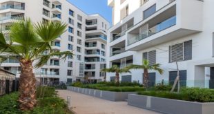 Plf 2021 Immobilier