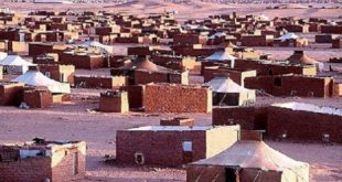 Algérie,Camps de Tindouf,HCR