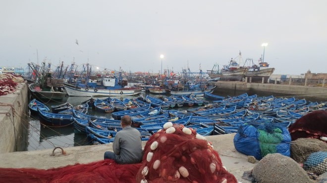 Port,Essaouira,pêche côtière