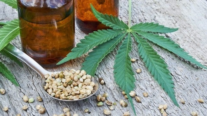 graines extraites du cannabis