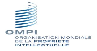 OMPI,Propriété intellectuelle,PME