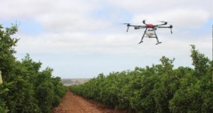 agrumiculture,drones,Agropole de Berkane