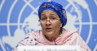 ONU,Amina Mohammed,Arganier,arganier maroc