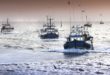 Pêche maritime | Un vecteur de développement socioéconomique