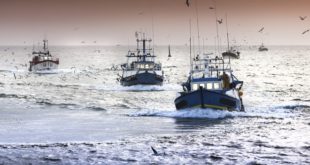 pêche maritime,maroc