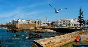 Essaouira,plage,MogaGreen,Maroc