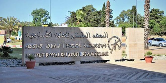PLF-2023 | La langue « Amazighe », une priorité gouvernementale