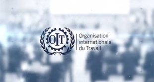 Organisation internationale du Travail,OIT
