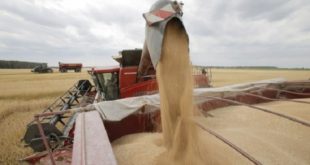 Céréales,importations,ANP