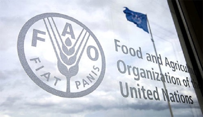 Sécurité alimentaire,Maroc,FAO,Afrique