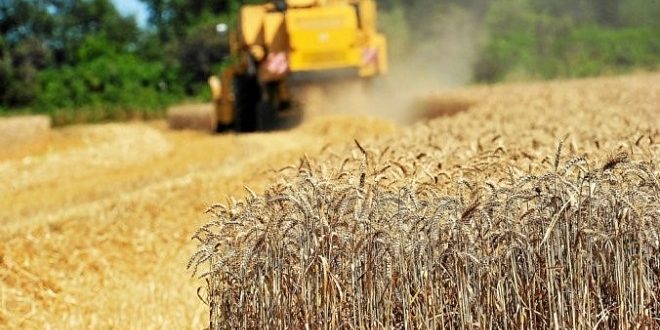 Conflit Russo-Ukrainien | L’ONU annonce l’extension de l’initiative céréalière de la mer Noire