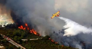 Feu de forêt,M’diq-Fnideq,Protection civile,sapeurs-pompiers,Maroc