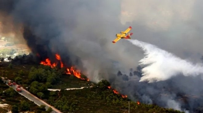 Feu de forêt,M’diq-Fnideq,Protection civile,sapeurs-pompiers,Maroc