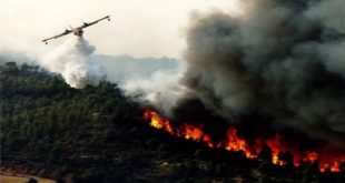 Larache,incendies,Feux de forêt