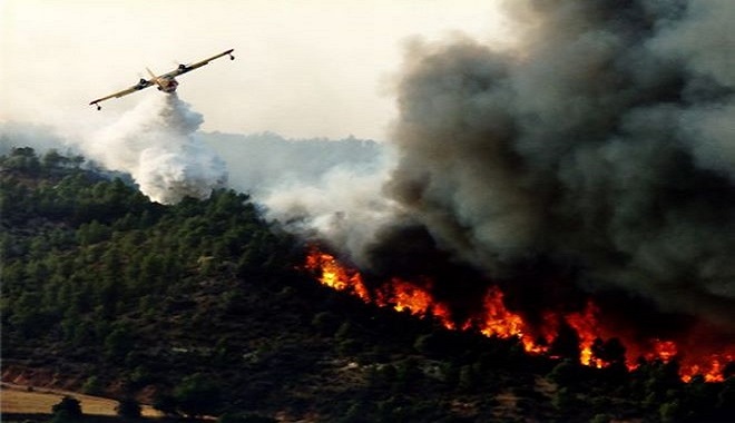 Larache,incendies,Feux de forêt