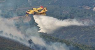 Taza,incendie de la forêt,Bab Azhar,zone forestière,habitations