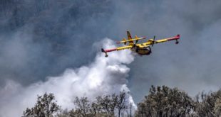 incendie,Feux de forêt,Protection civile,Maroc