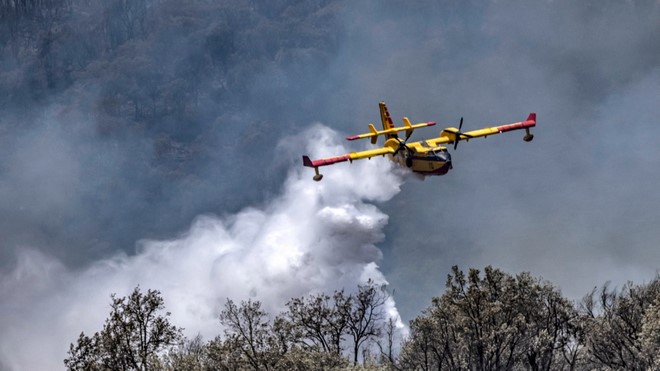 Larache,incendie,feux de forêts,Rif,Bni Ysef Al-Srif,Maroc