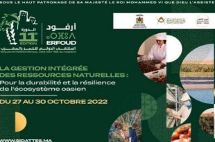 Erfoud,SiDattes,Salon International des Dattes,Maroc,filière phoenicicole