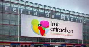 Fruit Attraction,Madrid,Maroc