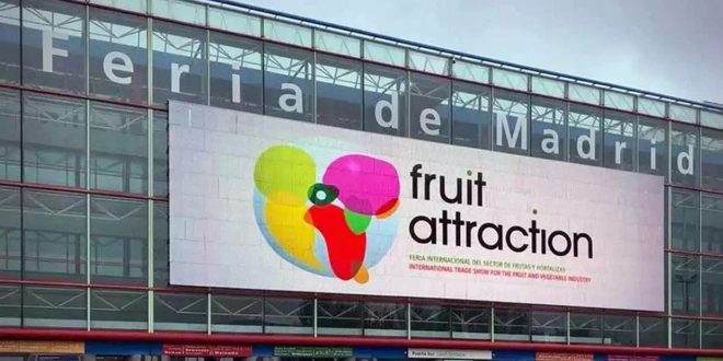Madrid | Le Maroc participe au 14è Salon ”Fruit Attraction”