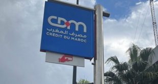 Crédit du Maroc,AMMC