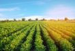 Afrique-Europe | Le Maroc appelle à une coopération renforcée pour une agriculture durable