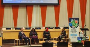 Roi Mohammed VI,Nations Unies,New York,ONG,TIBU Africa,sport