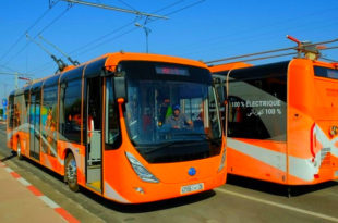 KOICA,Marrakech Transport,bus électriques