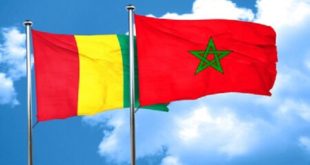 Maroc,Guinée,partenariat,coopération Sud-Sud