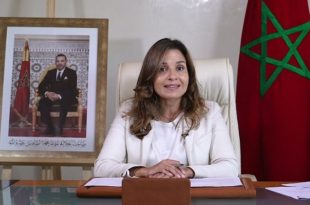 Transition énergétique,Leila BENALI,Afrique