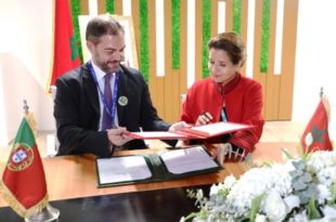 COP28,Maroc,Portugal,interconnexion électrique