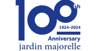 marrakech-:-le-jardin-majorelle-fete-ses-100-ans