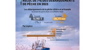 ports-situes-sur-la-mediterranee:-recul-de-7%-des-debarquements-de-peche-en-2023-(onp)