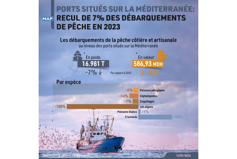 ports-situes-sur-la-mediterranee:-recul-de-7%-des-debarquements-de-peche-en-2023-(onp)