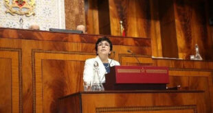 Zineb El Adaoui,Cour des comptes