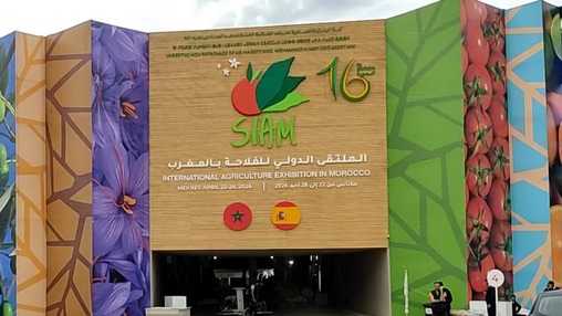 Meknès | Le 16ème SIAM ouvre ses portes au grand public