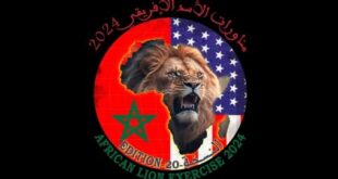 African Lion 2024