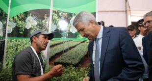 Safi | La Foire Nationale du Câprier de retour pour une 6è édition