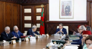 Le Conseil de gouvernement approuve un projet de décret portant création de la ZAI d’Ain Johra
