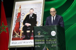Agriculture | Vers l’élaboration d’un programme “ambitieux” d’irrigation