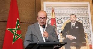 Soutien aux éleveurs | M.Bouari dévoile l'opération de reconstitution du cheptel national