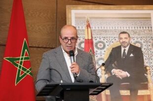Soutien aux éleveurs | M.Bouari dévoile l'opération de reconstitution du cheptel national