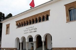 Baccalauréat 2025 | 250.075 candidats admis à la session ordinaire, 66,8% de réussite