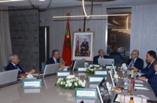 ANCFCC | Chiffre d’affaires record de 9.33 MMDH, en progression de 10 % à fin 2024 !