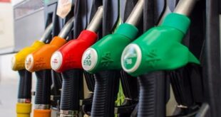 Gasoil et Essence | Évolution contrastée des marges brutes par litre au T1 2025